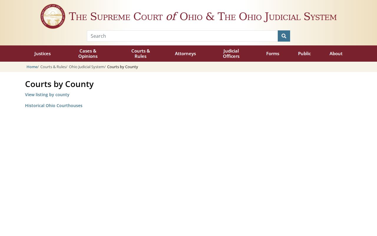Columbiana County court docket Ohio trial court directory